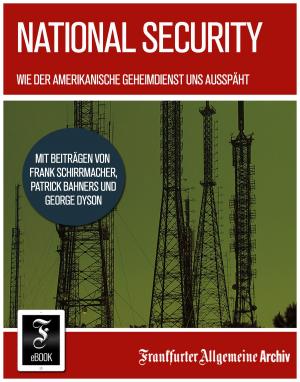 Cover of the book National Security by Frankfurter Allgemeine Archiv, Hans Peter Trötscher