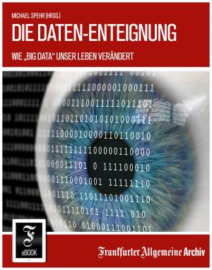 Book cover of Die Daten-Enteignung