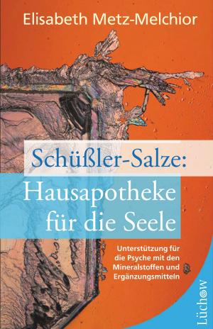 Cover of the book Schüßler-Salze - Hausapotheke für die Seele by Serge Kahili King