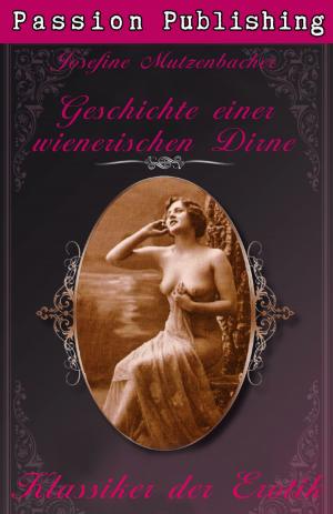 Book cover of Klassiker der Erotik 29: Geschichte einer wienerischen Dirne