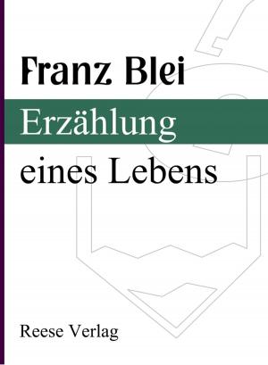 Cover of the book Erzählung eines Lebens by Carl Einstein