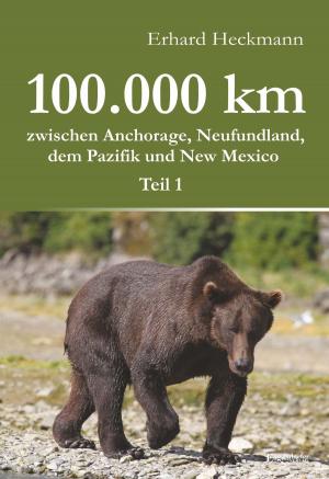 bigCover of the book 100.000 km zwischen Anchorage, Neufundland, dem Pazifik und New Mexico - Teil 1 by 