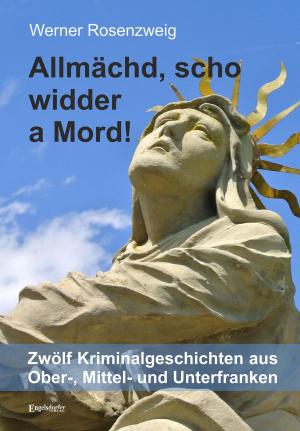 Cover of the book Allmächd, scho widder a Mord! by Marina Scheske