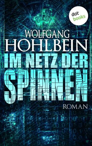 Cover of the book Im Netz der Spinnen by Burkhardt Gorissen