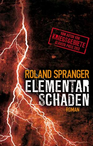 Cover of the book Elementarschaden by Kaja Bergmann