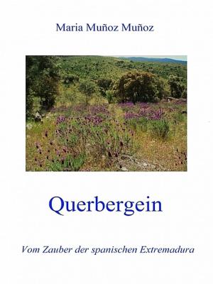 Cover of the book Querbergein by Mahasin Muhammad