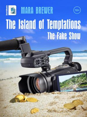 Cover of the book The Island of Temptations by Frank Reliance