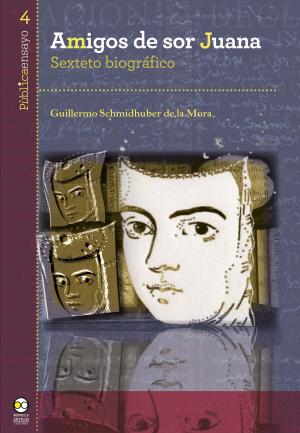 Cover of the book Amigos de sor Juana by Juan Carlos Arriaga Rodríguez