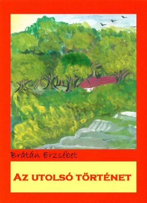 Cover of the book Az utolsó történet by Brátán Erzsébet