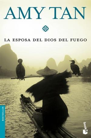 Cover of the book La esposa del Dios del Fuego by Lorenzo Silva