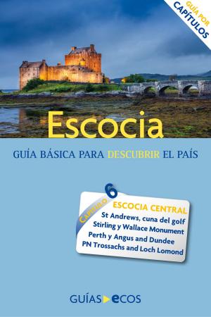 Cover of the book Centro de Escocia by María Pía Artigas