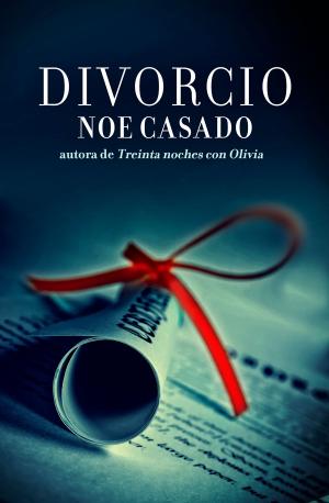Cover of the book Divorcio by Nicholas Sparks