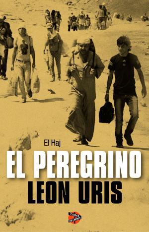 Cover of the book El peregrino by Neil Gaiman
