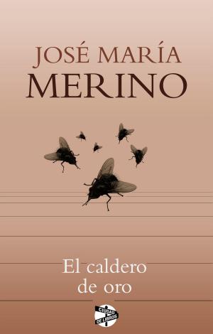Cover of the book El caldero de oro by Dulcinea (Paola Calasanz)