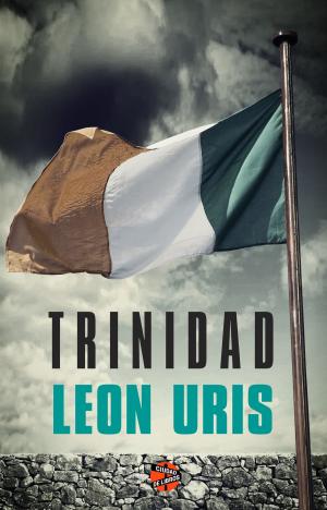 Cover of the book Trinidad by Noah Gordon