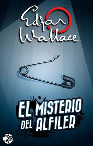 Cover of the book El misterio del alfiler by Laura Nuño