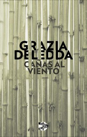 Cover of the book Cañas al viento by Noelia Amarillo
