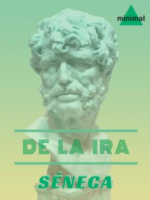 Cover of the book De la ira by Benito Pérez Galdós