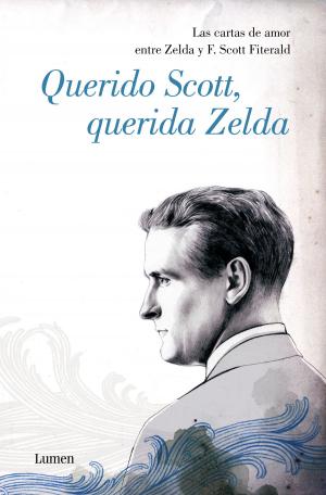 Book cover of Querido Scott, querida Zelda
