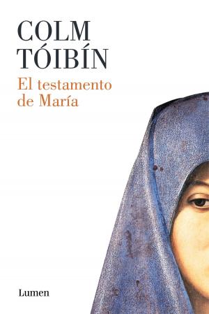 Cover of the book El testamento de María by Terry Pratchett