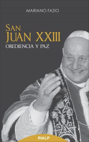 Cover of the book San Juan XXIII by José Luis Comellas García-Lera