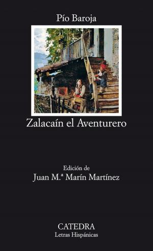 Cover of the book Zalacaín el Aventurero by José María Pozuelo Yvancos