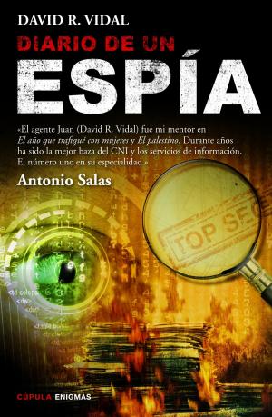 Cover of the book Diario de un espía by David Graeber