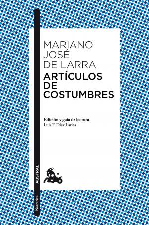 Cover of the book Artículos de costumbres by Idoia Bilbao