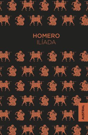 Cover of the book Ilíada by Borja Muñoz Cuesta, Lorenzo Gianninoni