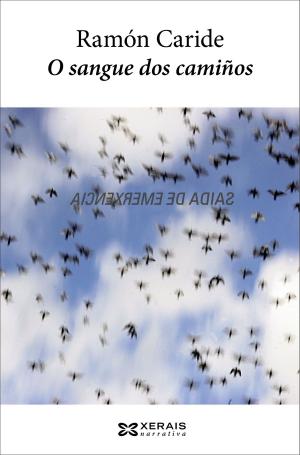 Cover of the book O sangue dos camiños by Jolie Mason