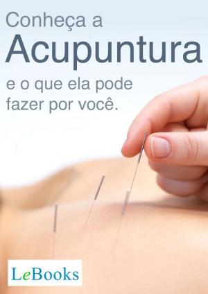 Cover of the book Conheça a acupuntura e o que ela pode fazer por você by Werner Kühni, Walter von Holst