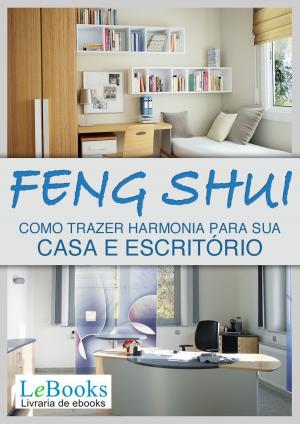 Cover of the book Feng shui by Franz Kafka