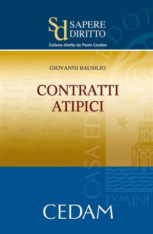 Book cover of Contratti atipici