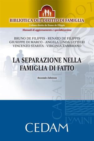 Book cover of La separazione nella famiglia di fatto. Seconda edizione