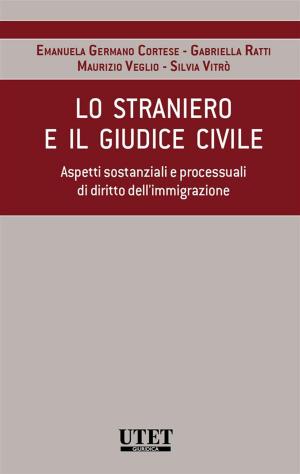 Cover of the book Lo straniero e il giudice civile. Aspetti sostanzali e processuali di diritto dell'immigrazione by Cicerone