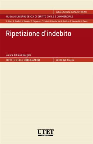 Cover of the book Ripetizione d'indebito by Baruch Spinoza