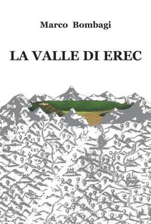 Cover of the book La valle di Erec by Hope Evans