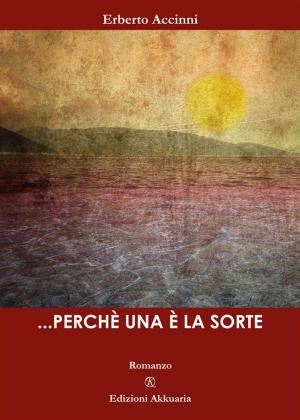 Cover of the book …Perché una è la sorte by Tino La Vecchia