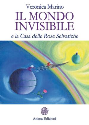Cover of the book Mondo invisibile (Il) by Veronica Pacella