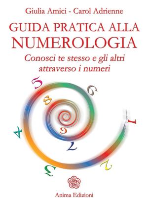 Cover of the book Guida pratica alla numerologia by Pierluigi Lattuada