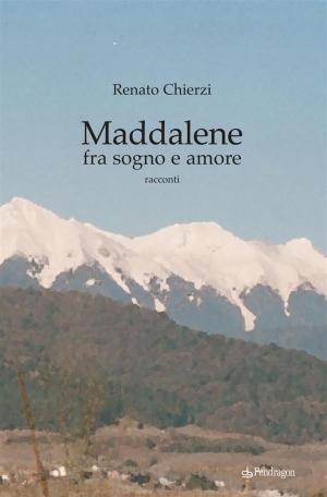 Cover of the book Maddalene fra sogno e realtà by Filippo Venturi