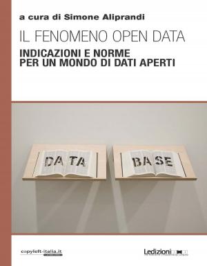 Cover of the book Il Fenomeno Open Data by Eugenio Zito