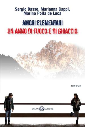 Cover of the book Amori elementari by Malin Persson Giolito