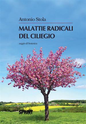 Cover of the book Malattie radicali del ciliegio by Luca Scanavacca