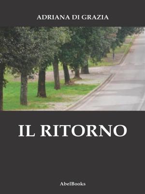 Cover of the book Il ritorno by Lizzie Jay