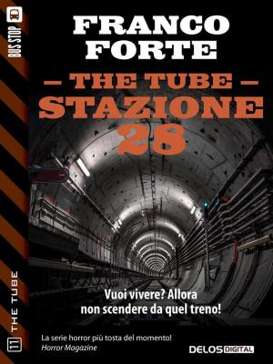 Cover of the book Stazione 28 by Gianluca D'Aquino