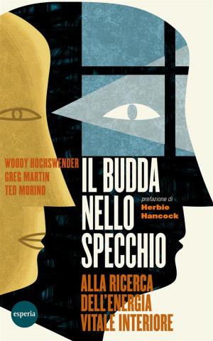Cover of the book Il Budda nello specchio by Richard Causton