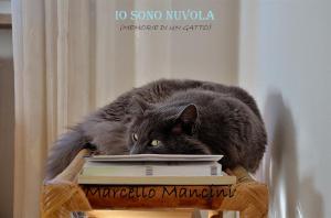 Cover of the book Io sono Nuvola (memorie di un Gatto) by Simon Seth