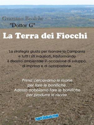 Cover of the book La terra dei fiocchi by Brian Margolis