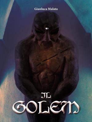 Cover of the book Il golem by JOHN HUMPHREY NOYES.